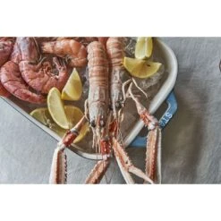 Staub Set Di Pirofile Rettangolare - 3-pz., Turchese Antico 8 Staub Set Di Pirofile Rettangolare - 3-pz., Turchese Antico -Staub Shop 424423155